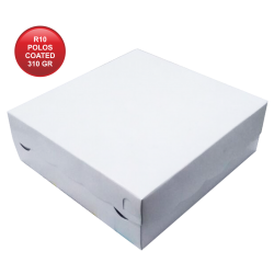 R10 POLOS COATED 310 